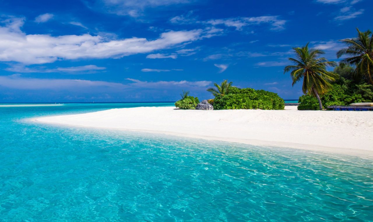 11-Day Unforgettable Safari, Cultural Visit, and Zanzibar cover image