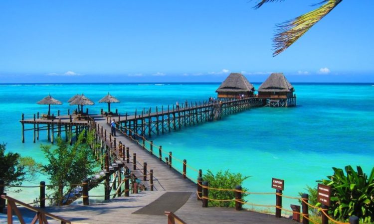 9 Days Exploring safari Adventure with Zanzibar. cover image